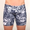 Jammer Coral